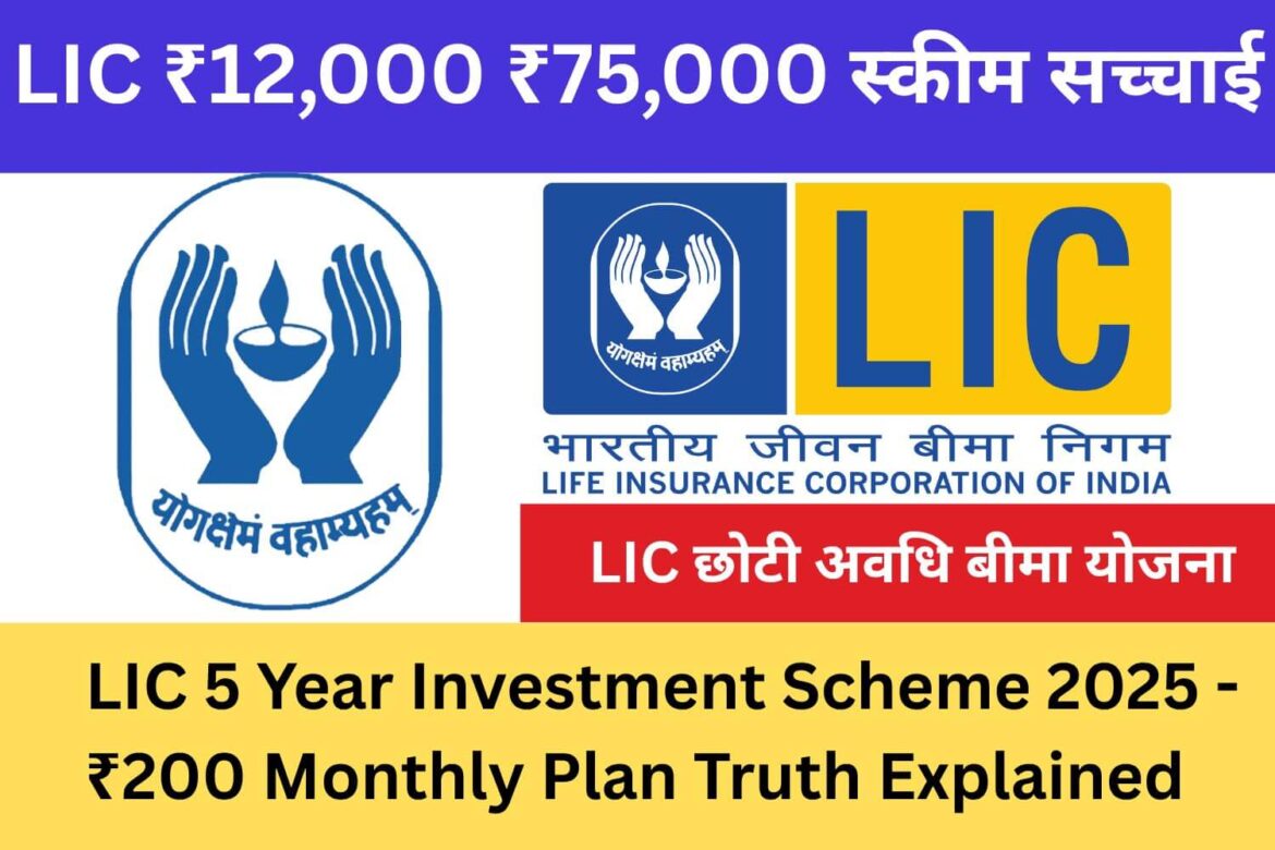 LIC 5 Year Investment Plan 2025 - Dailyindiakhabar