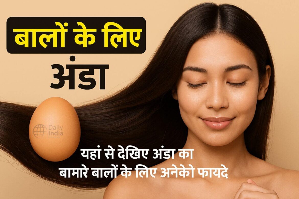 अंडे से बालों को मिलने वाले फायदे Dailyindiakhabar